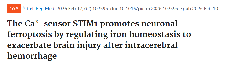 STIM1 regulates iron homeostasis and promotes neuronal ferroptosis to aggravate cerebral hemorrhage